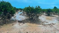 El Gobierno abona 39,6 millones de euros a 4.235 agricultores para la reparación de daños por la dana
