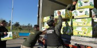 Traficaban 444 kilos de cocaína ocultos entre un cargamento de bananas y fueron capturados