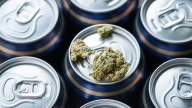 Circle K To Sell Hemp THC Beverages Nationwide In 2026