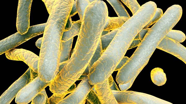 TB exposure reported at Chula Vista’s Innovation High School
