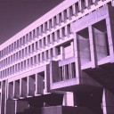 Guide to Election Day: Meet the Boston City Council