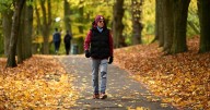 One long walk or shorter strolls? Scientists reveal which is better for your heart
