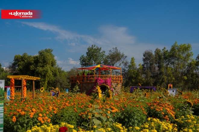 Mictlán: un viaje entre flores, mitología y tradición en Tijuana