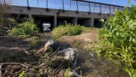 Napas subterráneas muestran recuperación en Copiapó gracias al flujo del río en Parque Kaukari