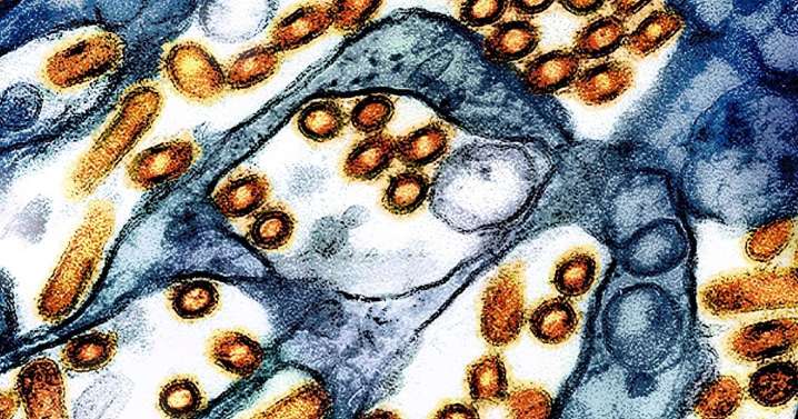 Second case of bird flu confirmed in Jefferson County