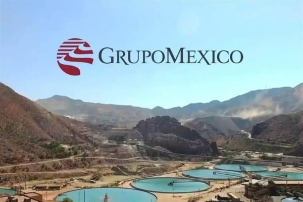 Caen 15.43% acciones de Grupo México tras oferta a Banamex