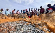 India-UK trade deal to increase seafood exports: MPEDA