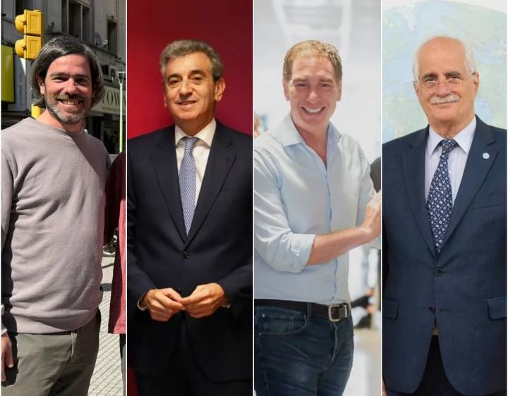 Elecciones 2025: 15 fuerzas, candidatos que buscan renovar y la BUP que debuta