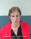 Investigation finds Lawrence County grandmother filed 18 unfounded child abuse reports against her own daughter