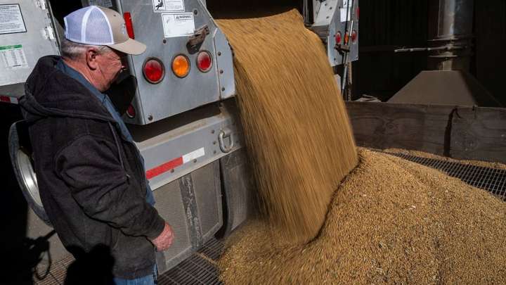 Trump threatens China with cooking oil embargo over soybean snub