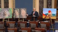 'Dead As Jimmy Hoffa': Louisiana Sen. John Kennedy Rips $1.35 Billion Federal Plan To Kill 453,000 Owls