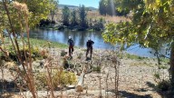 Mejora del río Manzanares y del arroyo Culebro a su paso por Getafe (Madrid)