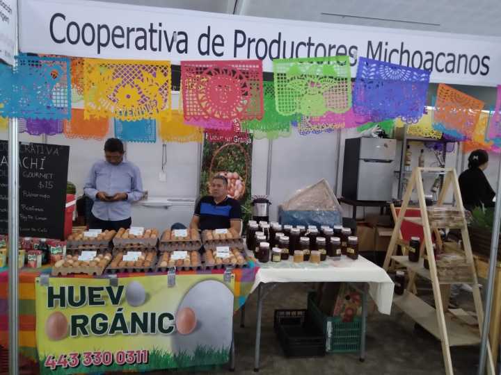 Municipios de Michoacán: el reto de pasar del impulso inicial al fortalecimiento del cooperativismo