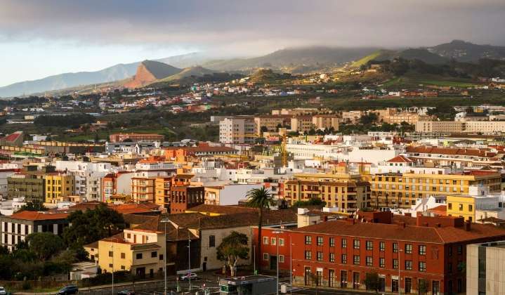Descubren en La Laguna un fósil prehistórico: “Ofrece información muy valiosa”