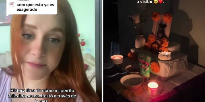 Joven asegura que su perro fallecido regresó al altar de Día de Muertos y se vuelve viral: “A ver mueve la colita”