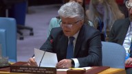 Sin la canciller Villavicencio, Misión de Verificación presentó informe trimestral sobre la paz en Colombia ante el Consejo de Seguridad de la ONU