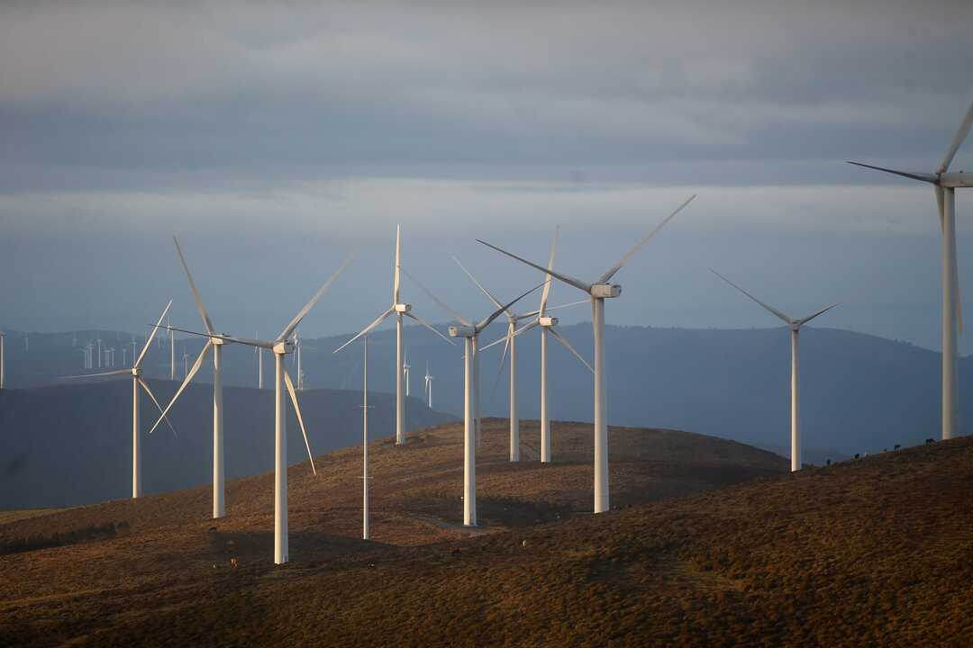 Plataforma Defensa Sur de Cantabria presenta recurso de alzada contra la autorización del parque eólico Sierra de Zalama