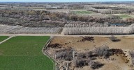 Otra agricultura es posible en el Alto Valle del río Negro