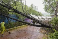 Cyclone ‘Montha’: 28 areas affected by tree falls and landslides in Southern Odisha