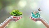 Alcalde de Cali: “Seguiremos liderando alianzas globales contra las economías ilegales que amenazan la biodiversidad”, en la apertura de la Semana de la Biodiversidad