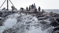 Flood forecast upgraded to 'warning' in powerful nor'easter
