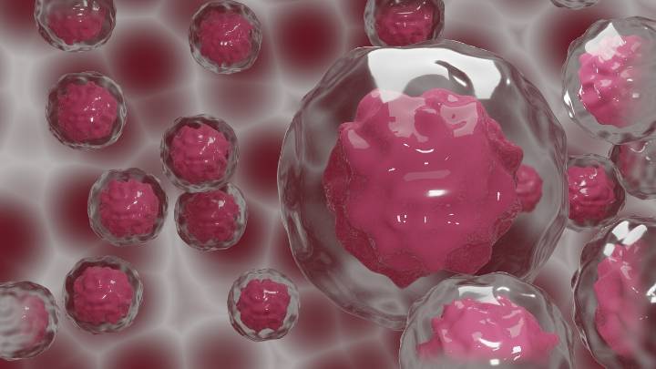 Descubren una nueva forma de producir células sanguíneas humanas en laboratorio