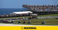 VÍDEO: Impactante accidente en MotoGP con unas gaviotas en Phillip Island: "Ha sido una masacre"