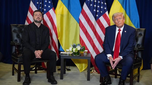 Zelenskyy to meet Trump Friday to talk weapons, air defence