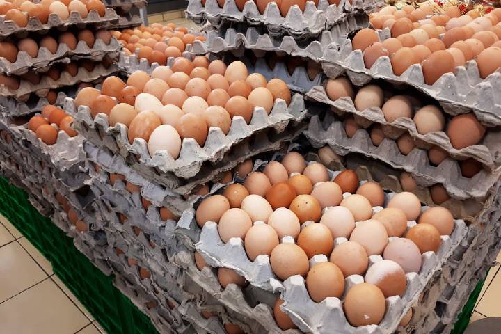 Incautan 400.000 huevos contrabandeados desde Bolivia y se encienden las alarmas por amenazas sanitarias