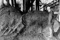 Bygones: Buhl faced coal shortage in 1975