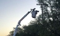 Por un árbol derribado, parte de Toay se quedó sin luz