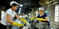 Europa necesita wolframio y la respuesta está en España: la disputa frente a China se puede ganar en Galicia