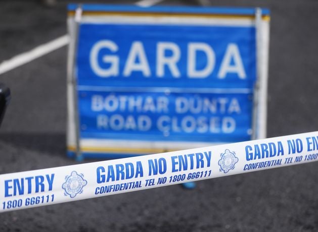 Man dies in hospital following assault in Kildare