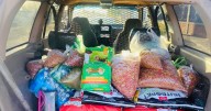 Convocan al “Gran Croquetón” para reunir una tonelada de alimento y apoyar a refugios animales