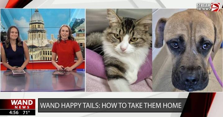 WAND's Happy Tails featuring Sebold and Sheila
