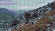 Trio of 20-year-old hikers rescued from Mt. Baldy amid inclement weather 