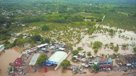 Lluvias en Veracruz, Puebla y otros estados dejan 1,200 siniestros por 550 mdp: AMIS