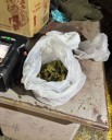 Hallan más de 200 gramos de marihuana que iban por encomienda en un micro