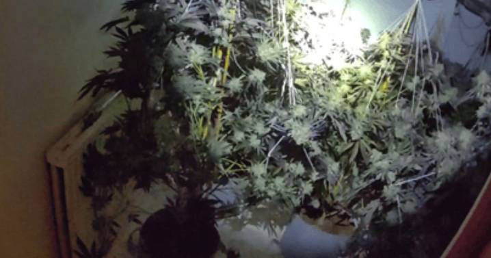 Police storm Manchester street and discover 'sophisticated set