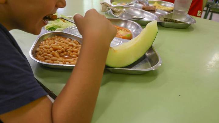 Enredo por las ratas en los colegios de Alicante