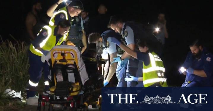Pedestrian dies after e