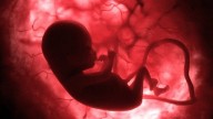 Fake Spiritual Centre In Mysuru Used For Sex Determination, Female Foetus Termination