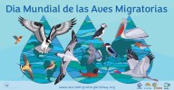 Crear entornos amigables con las aves aporta salud al planeta