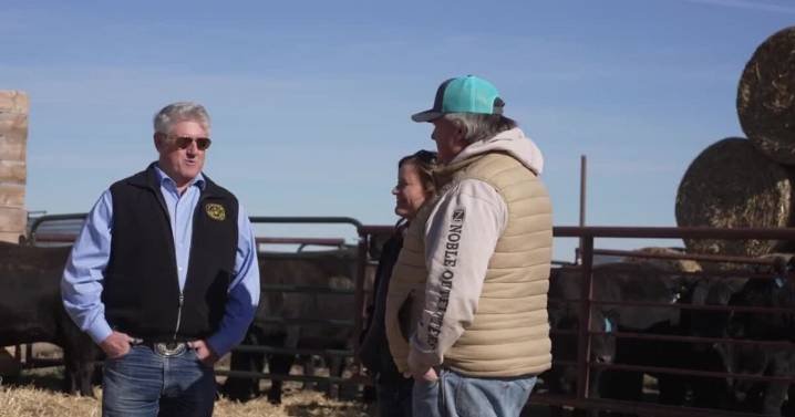 U.S. Rep. Downing visits Montana ranchers to advocate for U.S. beef producers