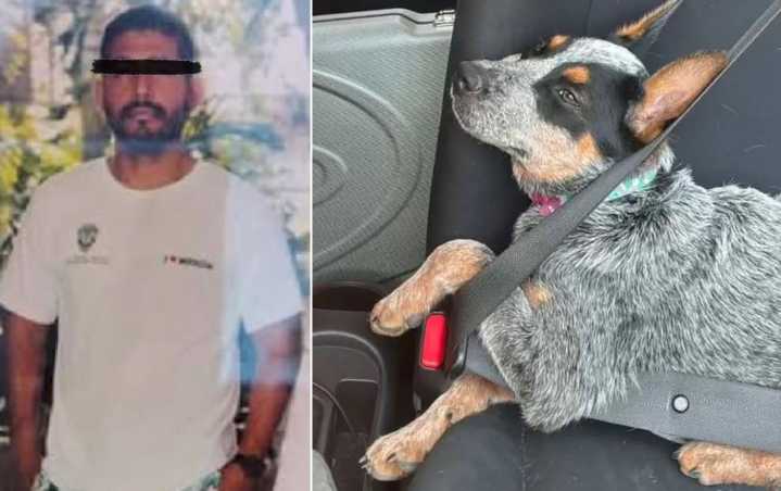 Justicia para Sicilia: llaman a Rommel Pacheco a destituir a director deportivo por crueldad animal