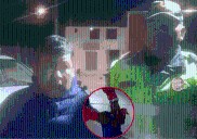 Capturan a docente con 13 gallos robados en Camaná