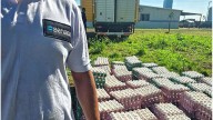 De Crespo a Concordia: decomisaron unos 36 mil huevos sin documentación sanitaria