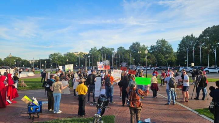 ‘This galvanized us’: Demonstrators rally together after removal of anti