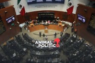 Senado modifica iniciativa sobre amparo enviada por Sheinbaum; precisan interés legítimo colectivo