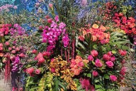 Flower fever returns--Inside Philly&CloseCurlyQuote;s stunning 2026 Flower Show